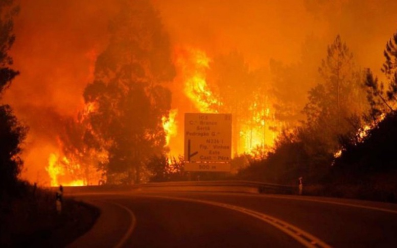 Le Portugal sous le choc : Un gigantesque incendie fait près de 60 morts et... Le Portugal sous le choc : Un gigantesque incendie fait près de 60 morts et...
