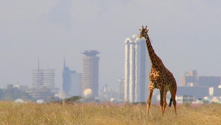 Kenya: les problèmes fonciers au cœur de la campagne présidentielle Kenya: les problèmes fonciers au cœur de la campagne présidentielle