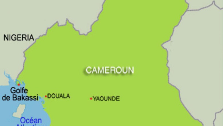 Cameroun: un navire de l'armée fait naufrage