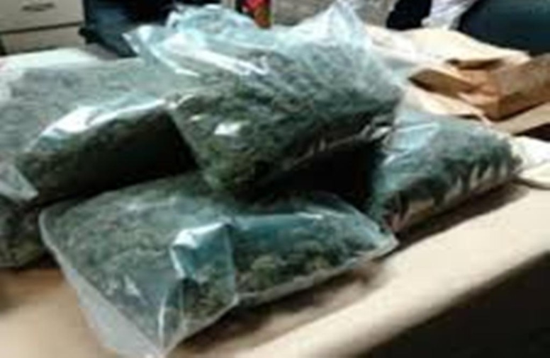 Trafique de drogue : Ibrahima Sow tombe avec 9 kg à Mbour Trafique de drogue : Ibrahima Sow tombe avec 9 kg à Mbour