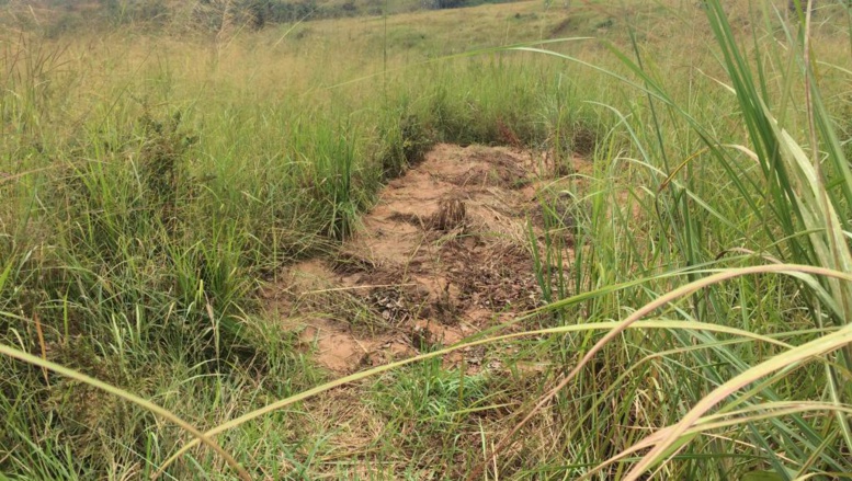 RDC: il y a un an, la mort du chef Kamuina Nsapu au Kasaï RDC: il y a un an, la mort du chef Kamuina Nsapu au Kasaï