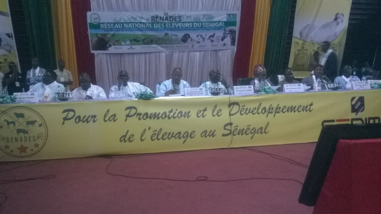 ​Le réseau national des éleveurs du Sénégal RENADES, prône pour une nouvelle dynamique d’élevage