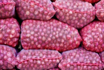 Levée des restrictions sur l’oignon : l’objectif est de casser les prix d’ici la Tabaski (ministre)