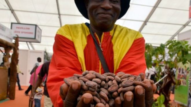 Côte d'ivoire : des chocolateries en milieu rural