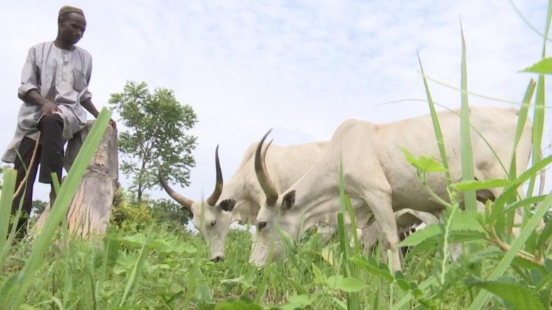 Nigeria: l’Etat de Benue frappé par des inondations Nigeria: l’Etat de Benue frappé par des inondations
