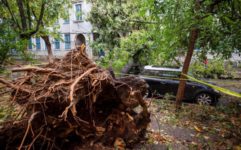 Roumanie : une tempête fait huit morts dans l'ouest du pays Roumanie : une tempête fait huit morts dans l'ouest du pays
