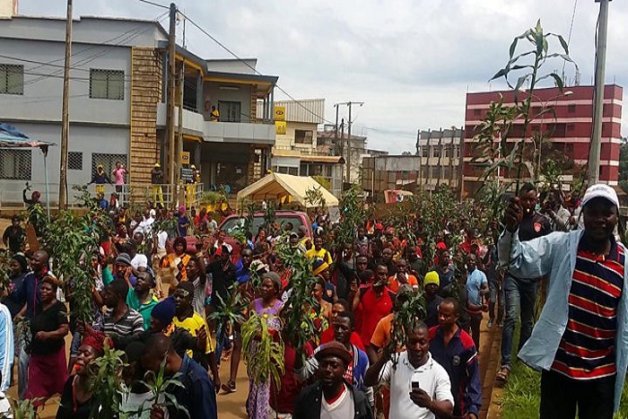 Cameroun: tensions à Bamenda et Buéa