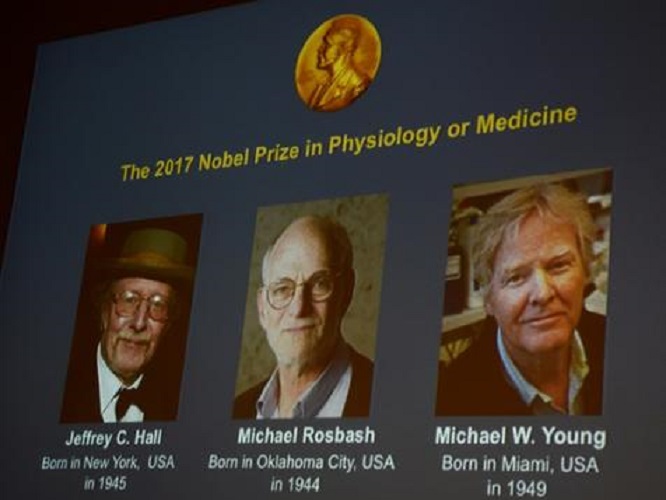 Les Américains Jeffrey C. Hall, Michael Rosbash et Michael W. Young reçoivent le prix Nobel de médecine