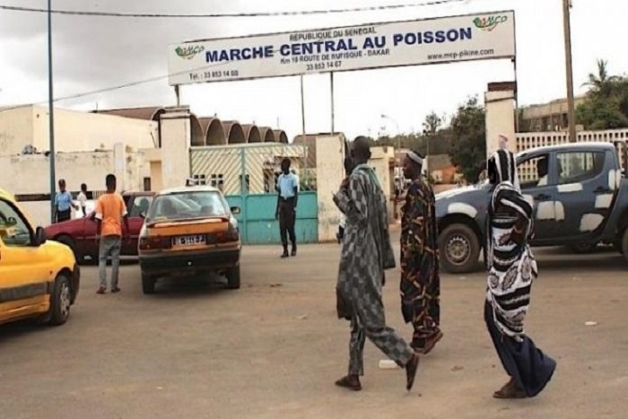 Marché au poisson de Pikine : les délégués donnent un ultimatum de 15 jours pour…