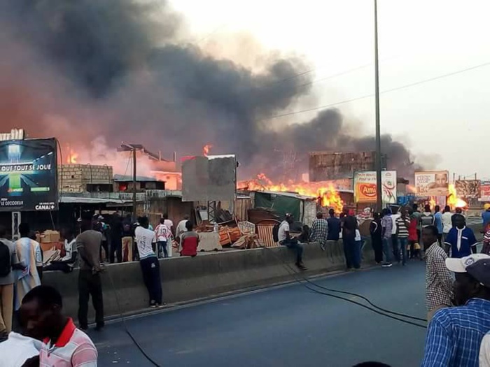 Incendie Parc Lambaye : les députés de Pikine appellent à l’introspection