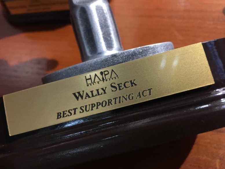 HAPA AWARDS 2017 : Wally Ballago Seck remporte deux trophées, Viviane Chidid récompensée 