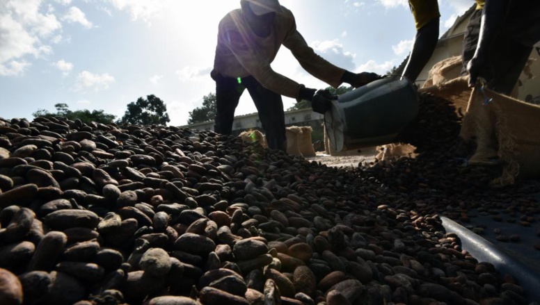 PodcastLa contractualisation peut-elle sauver l'agriculture africaine? PodcastLa contractualisation peut-elle sauver l'agriculture africaine?