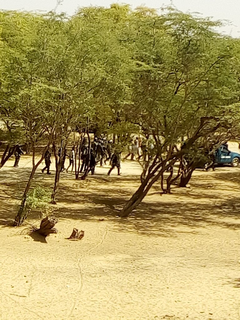 ​Urgent : affrontement entre force de l’ordre et les étudiants de l’UGB