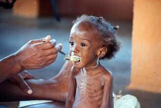 Le Tchad menacé d'une grave famine selon l'ONU