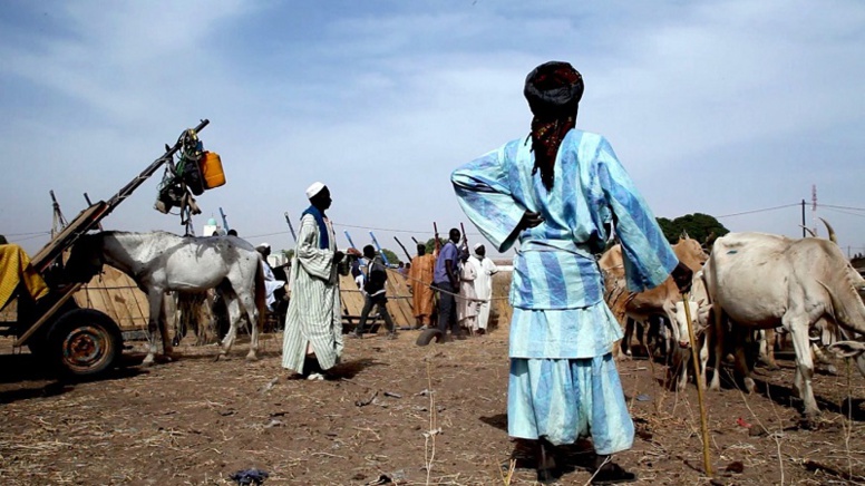 Abus de confiance: 2 disciples volent 14 bœufs et 150 moutons à leur marabout et accusent ‘’Satan’’ Abus de confiance: 2 disciples volent 14 bœufs et 150 moutons à leur marabout et accusent ‘’Satan’’