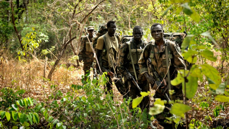 Forêt de Boffa : Les médias étrangers, seule presse autorisée à s'approcher des lieux du crime Forêt de Boffa : Les médias étrangers, seule presse autorisée à s'approcher des lieux du crime