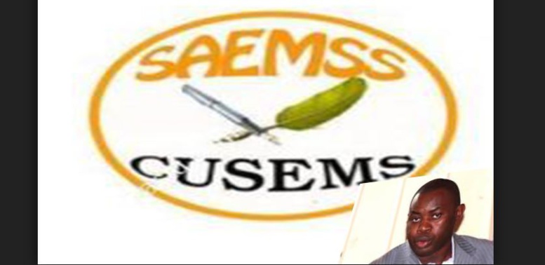 Mbaye Fall (Saems): “Il faut un dialogue sincère pour rétablir la confiance entre syndicats et…” Mbaye Fall (Saems): “Il faut un dialogue sincère pour rétablir la confiance entre syndicats et…”