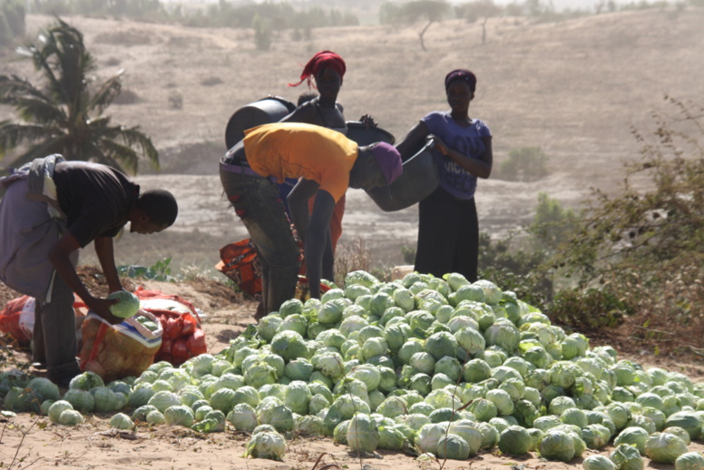 Amélioration des droits des femmes : l’IPAR et le CNCR cherchent des solutions contre les injustices basées sur le genre Amélioration des droits des femmes : l’IPAR et le CNCR cherchent des solutions contre les injustices basées sur le genre