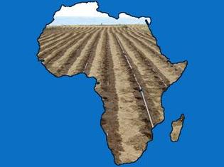Terres africaines à louer.