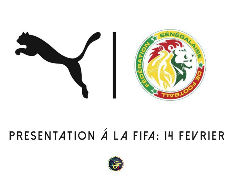 Puma va présenter les nouveaux maillots des "Lions" ce mercredi 14 février Puma va présenter les nouveaux maillots des "Lions" ce mercredi 14 février