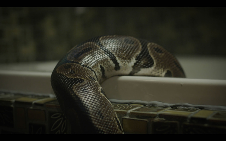 Urgent - Un "serpent" vient troubler le procès Khalifa Sall