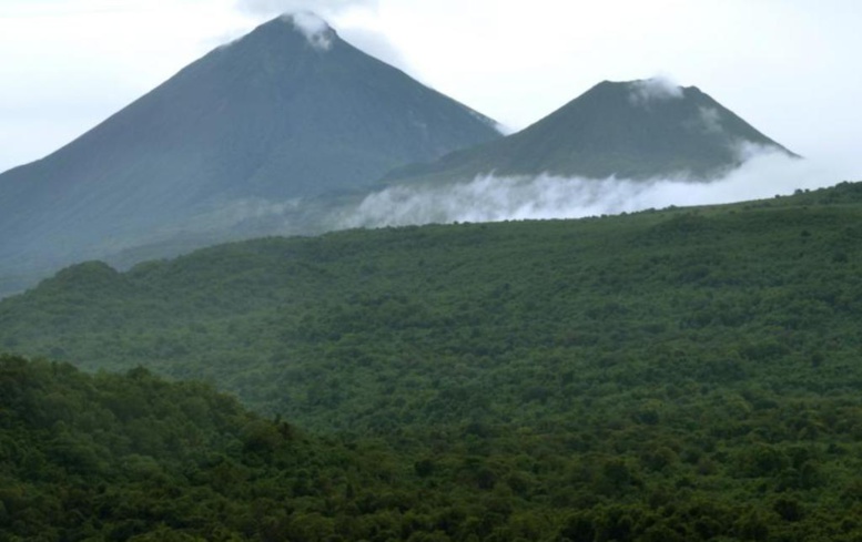 RDC: la possible levée du moratoire sur l'exploitation forestière fait polémique