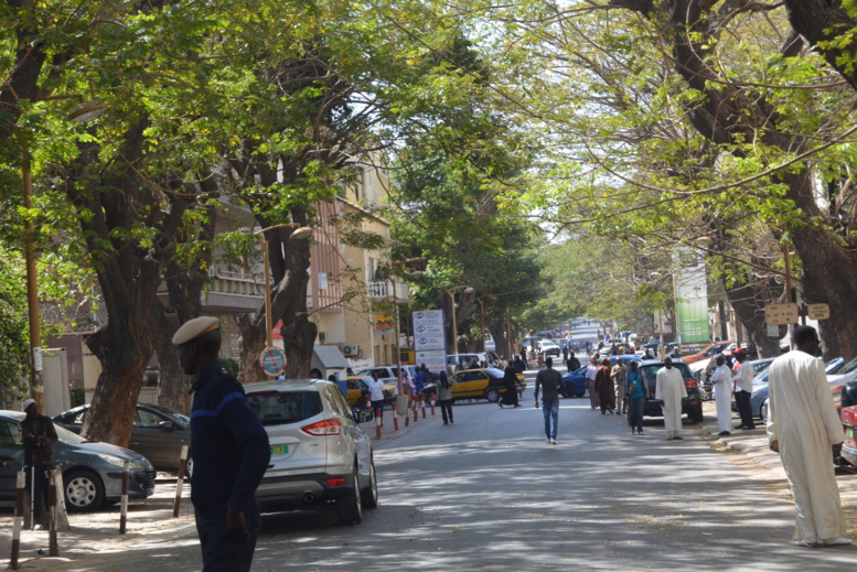 Sit-in devant le ministère de l’Intérieur : L'opposition peine à arriver à la Place Washington bien quadrillée Sit-in devant le ministère de l’Intérieur : L'opposition peine à arriver à la Place Washington bien quadrillée