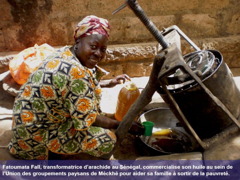 Le ministre Alioune Sarr annonce la commercialisation de l'huile d'arachide et 300 mille tonnes de...