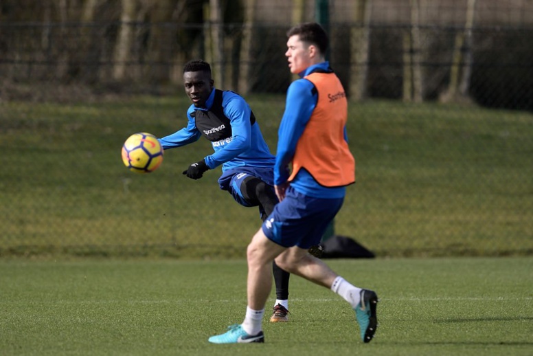 Premier League : Sam Allardyce compare Idrissa Gana Gueye à Ngolo Kanté