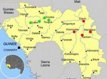 Elections en Guinée : ce que révèlent les chiffres