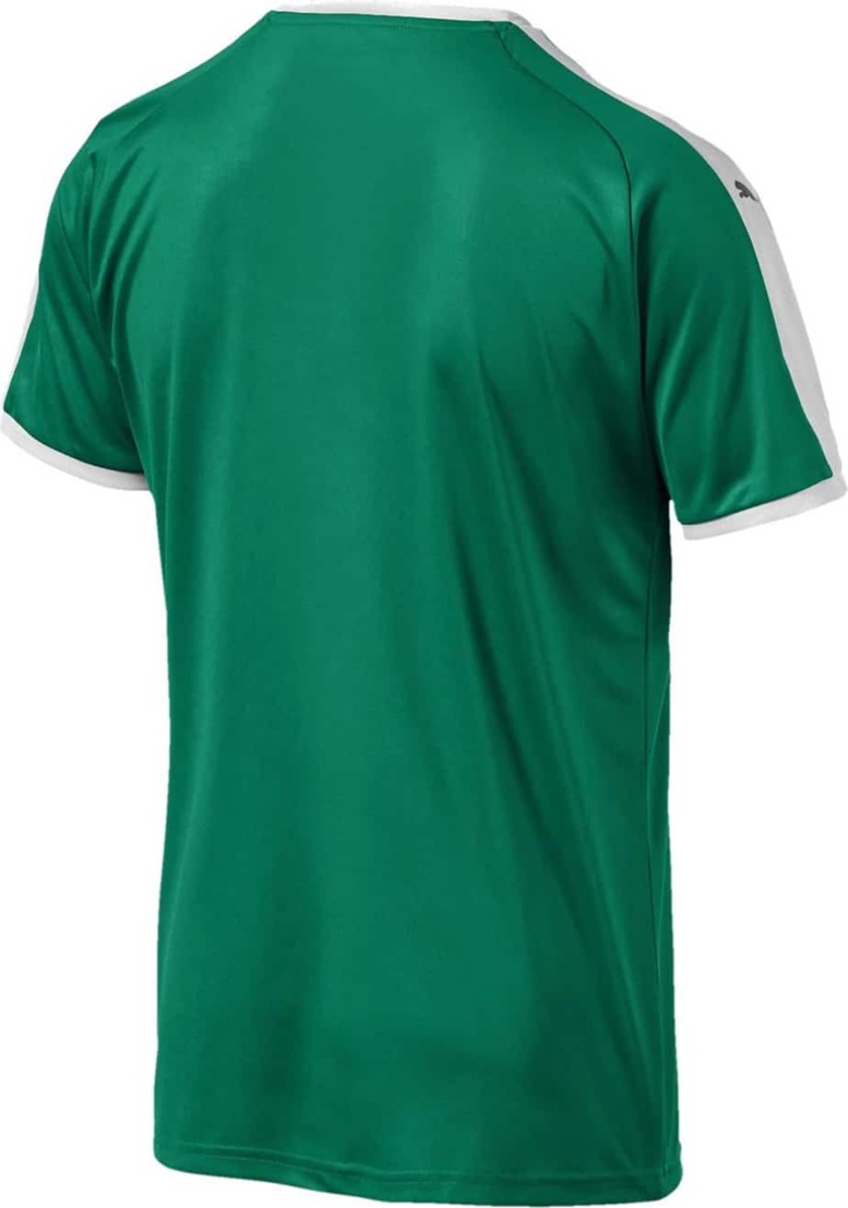 Coupe du Monde : Puma dévoile le maillot à domicile des « lions » Coupe du Monde : Puma dévoile le maillot à domicile des « lions »