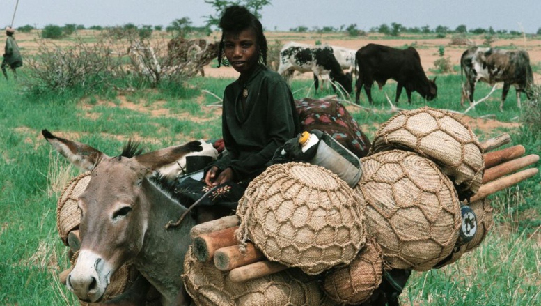 Attaque contre des Peuls au Niger: «des victimes innocentes se font massacrer» Attaque contre des Peuls au Niger: «des victimes innocentes se font massacrer»
