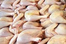 Korité-2018 : 11 millions de poulets attendus sur le marché Korité-2018 : 11 millions de poulets attendus sur le marché