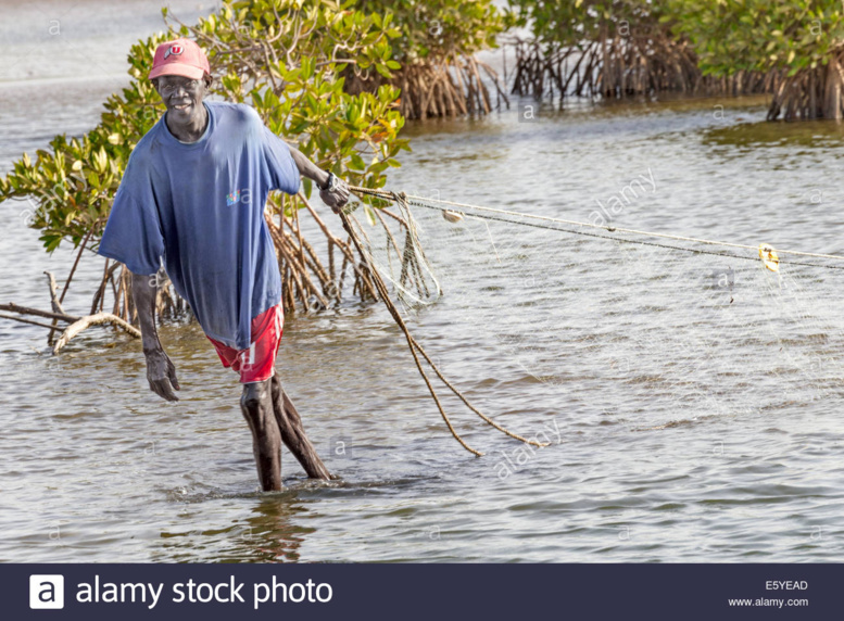 ​Voies d’accès impraticables à Simal : Les populations s’insurgent contre l’indifférence de l'Etat