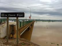 Niger : Des inondations sans précédent déciment le cheptel