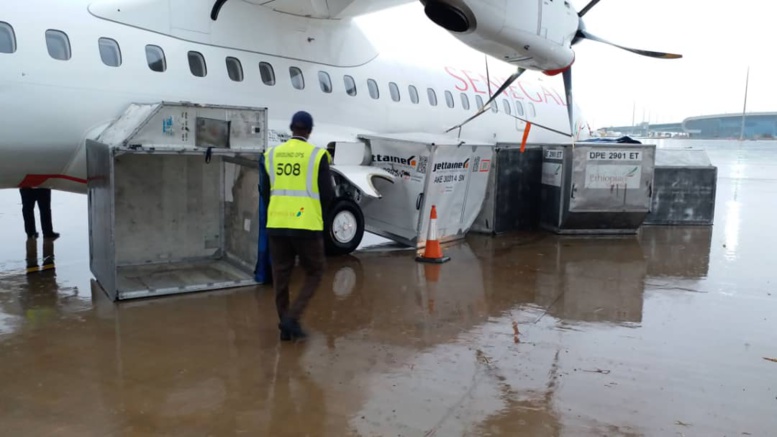 Images - L'AIBD inondée après les premières pluies à Dakar, Air Sénégal Sa enregistre des dégâts Images - L'AIBD inondée après les premières pluies à Dakar, Air Sénégal Sa enregistre des dégâts