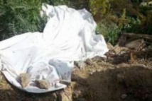 Mboro : une femme égorgée dans le champ d’un ancien député Mboro : une femme égorgée dans le champ d’un ancien député