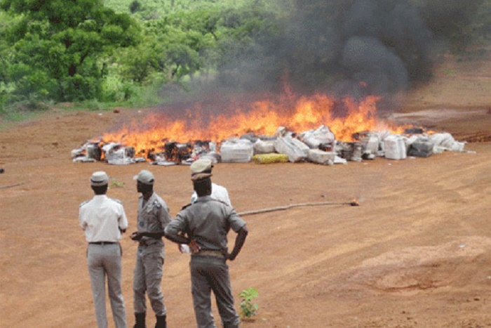 Popenguine : 6,4 tonnes de chanvre indien incinérées