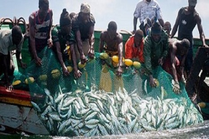 Mauritanie : les pêcheurs guet-ndariens autorisés à prendre 50 000 tonnes de poissons