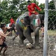 Foot: Le sport-roi et les fous du roi