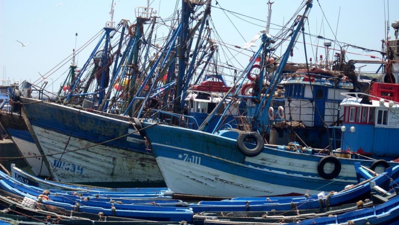 Pêche: le Maroc et l'UE ont négocié un nouvel accord