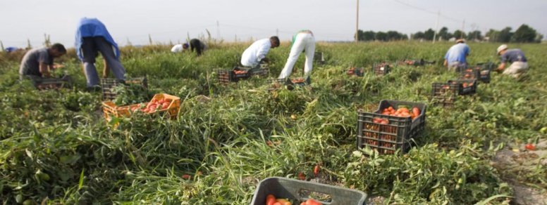 Italie : onze travailleurs migrants meurent dans un accident de la route Italie : onze travailleurs migrants meurent dans un accident de la route