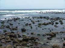 Cambéréne va traduire en justice l’Etat du Sénégal pour agression environnementale