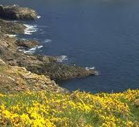 Pacte fort pour le financement des aires protégées en Afrique de l’Ouest