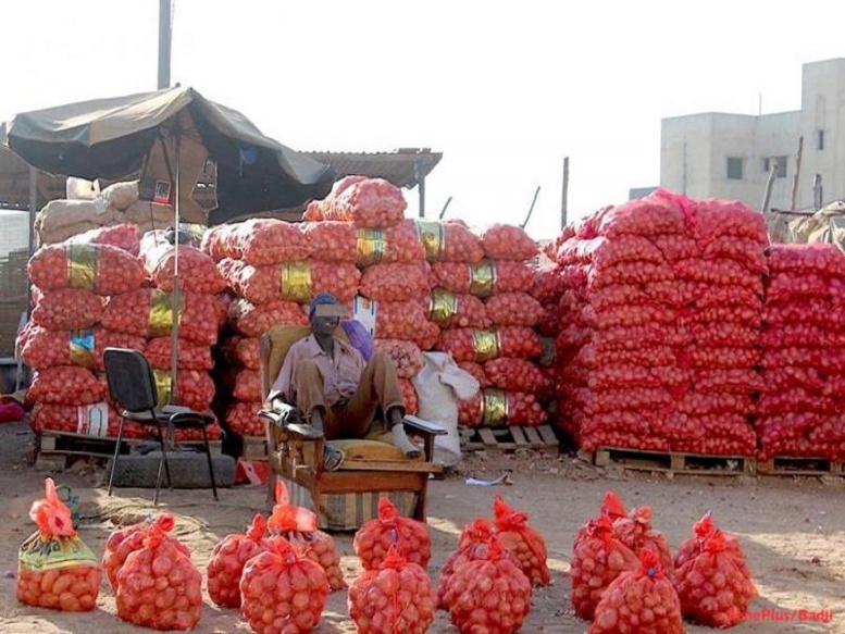 «Il n’y aura pas de pénurie de pomme de terre à Mbour» : Oumar Sèye 