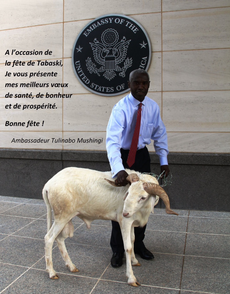 Photo - Le mouton de Tabaski de l'ambassadeur des USA à Dakar Photo - Le mouton de Tabaski de l'ambassadeur des USA à Dakar