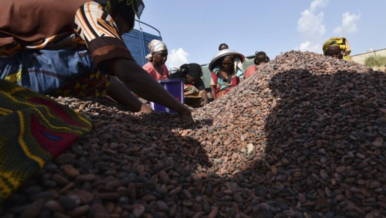 Côte d’Ivoire: le numéro 4 du secteur du cacao en liquidation judiciaire Côte d’Ivoire: le numéro 4 du secteur du cacao en liquidation judiciaire