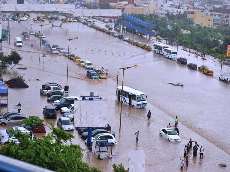 Fortes pluies entre jeudi et vendredi : plusieurs localités du Sénégal sous les eaux Fortes pluies entre jeudi et vendredi : plusieurs localités du Sénégal sous les eaux