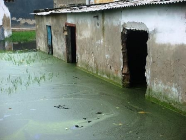 Kidira entre eaux usées et inondations : les autorités réclament leur Puma Kidira entre eaux usées et inondations : les autorités réclament leur Puma