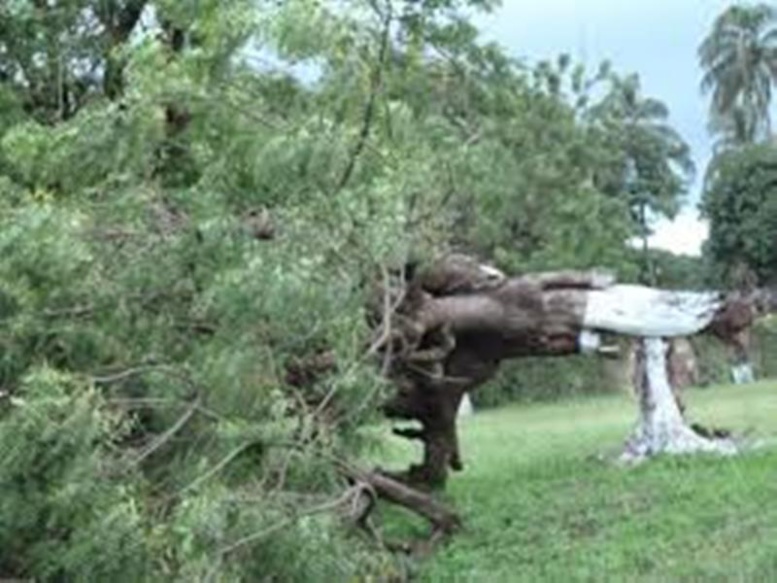 Guinée-Bissau: au moins six morts dans un orage dans l’île de Caravela, dans l’archipel des Bijagos Guinée-Bissau: au moins six morts dans un orage dans l’île de Caravela, dans l’archipel des Bijagos